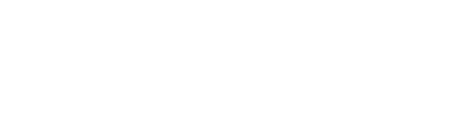 Career Bootcamp